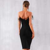 Feather Front Dress