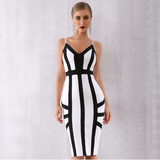 Black Spider Striped Dress