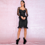 Black Tube Top Slimt Fit Feather Glitter Glued Dress